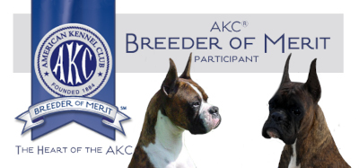 AKC Breeder of Merit